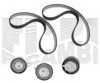 AUTOTEAM KAT1464 Timing Belt Kit